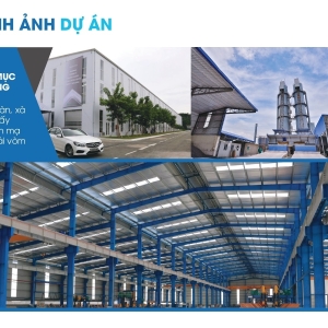 ton-do-san-xa-go-ton-sang